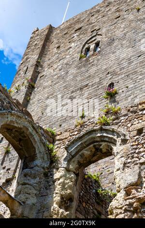 Der Great Keep aus dem 12. Jahrhundert und ein Teil der Royal Apartments, Portchester Castle, Portchester, Hampshire, Großbritannien Stockfoto