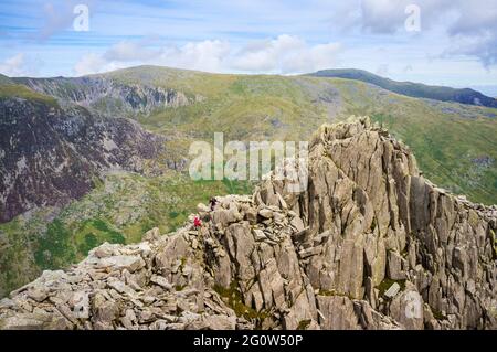 Blick auf Tryfan mit Wanderern, die auf dem felsigen Nordgrat in den Bergen des Snowdonia National Park klettern. Ogwen, Conwy. Nordwales, Großbritannien Stockfoto