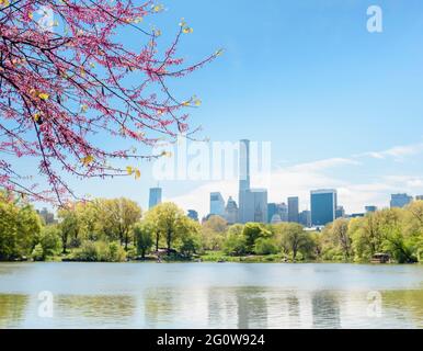 Frisches Grün im Stadtpark im Frühlingssonne Stockfoto