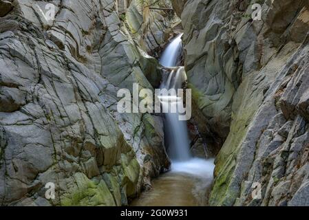 Dona d'Aigua Wasserfall (Wasserfrau auf Katalanisch) (Arbúcies, Katalonien, Spanien) ESP: Cascada de la Dona d'aigua (mujer de agua en catalán) (Arbúcies) Stockfoto