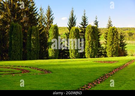 Formeller Garten im Frühling. Dekorative Sträucher und Rasen mit Blumen Stockfoto