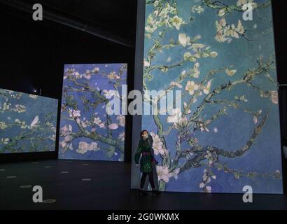 London, Großbritannien. Juni 2021. Van Gogh Alive, ein Fest für die Sinne, kombiniert modernste SENSORY4™ immersive Gallery-Technologie, HiFi-Sound und die Aromen der Provence, die den Besuchern das Gefühl geben, direkt in seine Bilder zu gehen, als ob sie leben und atmen würden. Erleben Sie über 3,000 Bilder, die spektakulär präsentiert werden, darunter ikonische Werke wie Sternennacht, Sonnenblumen und weniger bekannte Gemälde, die von seiner Liebe zu japanischen Holzdrucken inspiriert wurden. Quelle: Paul Quezada-Neiman/Alamy Live News Stockfoto