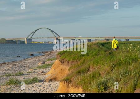 Strand, Fehmarn-Schallbrücke, Weststrand, Großenbrode, Schleswig-Holstein, Deutschland Stockfoto