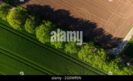 Schöne Landschaft im Frühsommer mit Bäumen und Feldern. Das Bild wurde in Deutschland aufgenommen. Dieses Bild wird perfekt als Hintergrundbild oder Hintergrund verwendet. Stockfoto