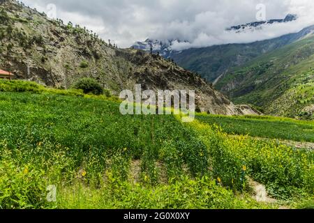 Verschiedene Ansichten von Keylong, Himachal Pradesh Stockfoto