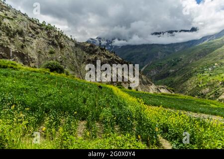 Verschiedene Ansichten von Keylong, Himachal Pradesh Stockfoto