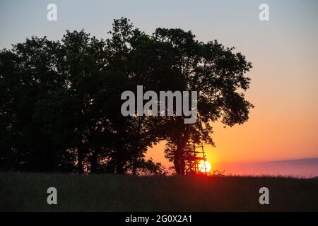 Kreischa, Deutschland. Juni 2021. Ein hoher Sitz eines Jägers steht bei Sonnenaufgang auf einem Feld. Hohe Sitze dienen Jägern, um sich einen Überblick über die Aktivitäten auf den Feldern und die notwendige Jagd auf Wildtiere zu verschaffen. Quelle: Daniel Schäfer/dpa-Zentralbild/ZB/dpa/Alamy Live News Stockfoto