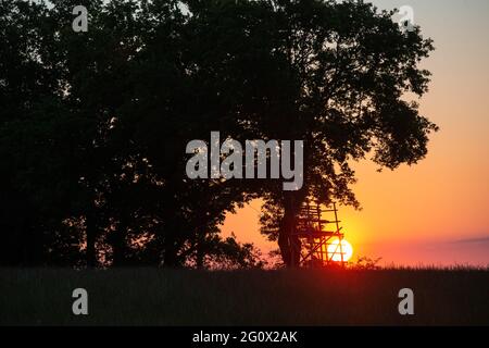 Kreischa, Deutschland. Juni 2021. Ein hoher Sitz eines Jägers steht bei Sonnenaufgang auf einem Feld. Hohe Sitze dienen Jägern, um sich einen Überblick über die Aktivitäten auf den Feldern und die notwendige Jagd auf Wildtiere zu verschaffen. Quelle: Daniel Schäfer/dpa-Zentralbild/ZB/dpa/Alamy Live News Stockfoto