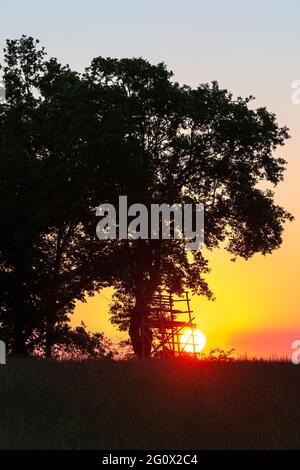 Kreischa, Deutschland. Juni 2021. Ein hoher Sitz eines Jägers steht bei Sonnenaufgang auf einem Feld. Hohe Sitze dienen Jägern, um sich einen Überblick über die Aktivitäten auf den Feldern und die notwendige Jagd auf Wildtiere zu verschaffen. Quelle: Daniel Schäfer/dpa-Zentralbild/ZB/dpa/Alamy Live News Stockfoto