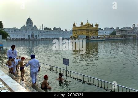 AMRITSAR, INDIEN - 06. November 2016: Sikh-Anhänger Baden oder ein Bad in einem Pool im Golden Temple Harmandir Sahib im Bundesstaat Punjab, Indien Stockfoto