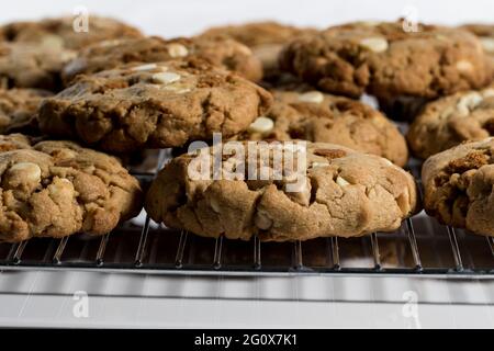 Kekse aus der Nähe backen leckere Kekse hausgemachte Desserts. Stockfoto