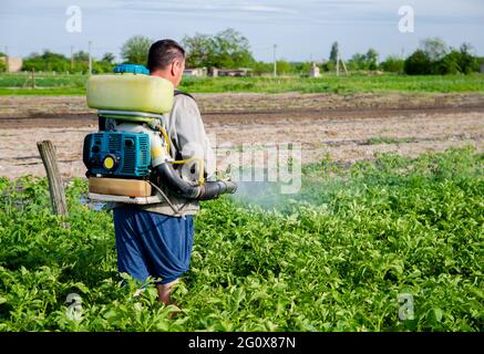 Ein Landwirt mit einem Nebelsprüher sprüht Fungizid und Pestizid auf Kartoffelbüsche. Schutz von Kulturpflanzen vor Insekten und Pilzinfektionen Stockfoto