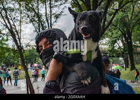 Medellin, Kolumbien. Juni 2021. Mitglieder der Front, die ihre Gesichter verdeckt, posieren für Fotos, während regierungsfeindliche Proteste in der fünften Woche gegen die Gesundheits- und Steuerreform von Präsident Ivan Duque und Polizeimissbrauch von Behördenfällen in Medellin, Kolumbien, am 2. Juni 2021 ansteigen. Kredit: Long Visual Press/Alamy Live Nachrichten Stockfoto