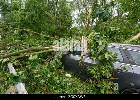 Braubach, Deutschland. Juni 2021. Schwer beschädigt wurde das Auto auf der Nationalstraße 42, die bei einem Gewitter von fallenden Bäumen begraben wurde. Das Auto wurde geparkt, die Leute kamen nicht zu Schaden. Quelle: Thomas Frey/dpa/Alamy Live News Stockfoto