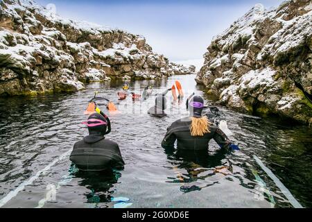 Silfra, Island-19. Feb 2020: Schnorchler bereiten sich auf das Eindringen in das Wasser am Silfra Rift vor, dem Ort, an dem sich eurasische und die amerikanische tektonische Platte befinden Stockfoto