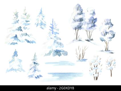 Winter Baum und Tanne Set. Aquarell handgezeichnete Illustration, isoliert auf weißem Hintergrund Stockfoto