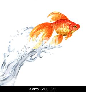 Goldfisch. Goldfische springen aus dem Wasser. Aquarell handgezeichnete Illustration isoliert auf weißem Hintergrund Stockfoto