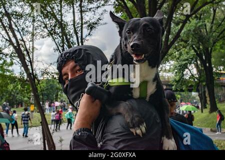 Medellin, Antioquia, Kolumbien. Juni 2021. Mitglieder der Front, die ihre Gesichter verdeckt, posieren für Fotos, während regierungsfeindliche Proteste in der fünften Woche gegen die Gesundheits- und Steuerreform von Präsident Ivan Duque und Polizeimissbrauch von Behördenfällen in Medellin, Kolumbien, am 2. Juni 2021 ansteigen. Quelle: Miyer Juana/LongVisual/ZUMA Wire/Alamy Live News Stockfoto