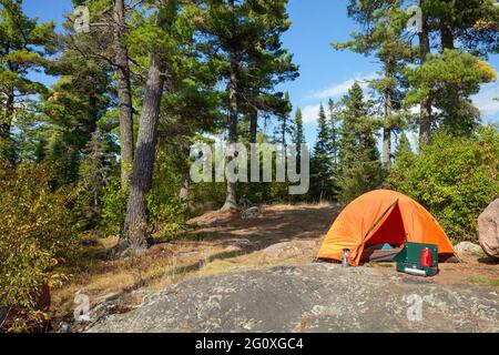 Campingplatz mit orangefarbenem Zelt unter großen Pinien und blauem Himmel am sonnigen Herbstnachmittag im Norden von Minnesota Stockfoto