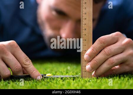 Zwanghafte Zwangsstörung. Perfektionist Messung Garten Gras Stockfoto