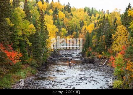 Fliegen Sie Fischer an einem schönen Herbsttag auf dem Brule River im Norden von Minnesota mit Forellen Stockfoto