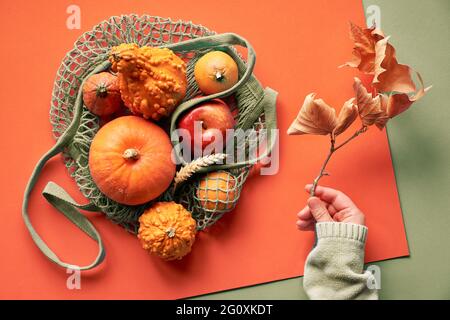 Herbst flach legen mit weiblichen Händen in blauen Pullover und türkisfarbenen Saiten Tasche mit orangefarbenen Kürbissen. Draufsicht auf mehrschichtigem Papierhintergrund Stockfoto