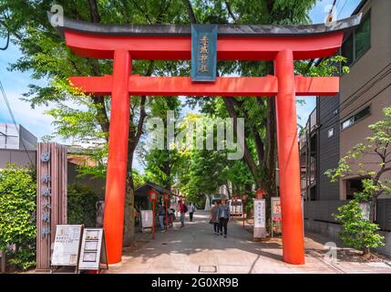 tokio, japan - 03 2019. Mai: Touristen, die zwischen den hölzernen Laternen unter dem großen verzinnten Torii-Portal des schintoistischen Akagi-Schreines spazieren, entworfen von Stockfoto