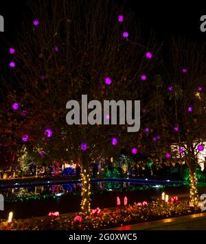 Arizona - Mesa Mormon Tempel - Weihnachten - Fünfter Tag Stockfoto