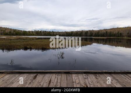 Im Frühjahr, am Rande des Sumpfes und See Boivin im Naturpark von Mont-Belair, Quebec Stadt. Stockfoto