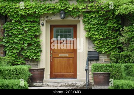 Haus mit eleganter Holzmaserung Haustür von Efeu umgeben Stockfoto