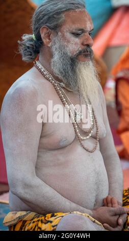 Haridwar, Uttarakhand, Indien 12. April 2021. Indische Heilige in ihrer traditionellen Art von Yog Mudra, meditierend. Schweigend sitzen als Teil der Initiation von neuem Sadhus während Kumbha Mela. Die Naga Sadhus. Stockfoto