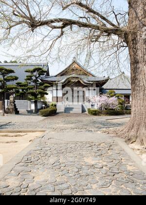 Tokushima, Japan - 2. April 2018: Frühling in Jizoji, Tempel Nummer 5 auf der Shikoku-Pilgerfahrt Stockfoto