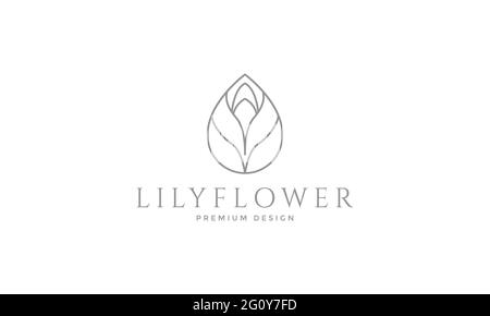 lily Knospen Linien Logo Symbol Vektor Symbol Illustration Grafik Design Stock Vektor
