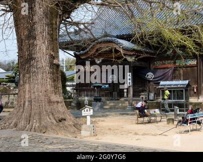 Tokushima, Japan - 2. April 2018: Wanderpilger ruhen in Jizoji, Tempel Nummer 5 auf der Shikoku-Pilgerfahrt Stockfoto