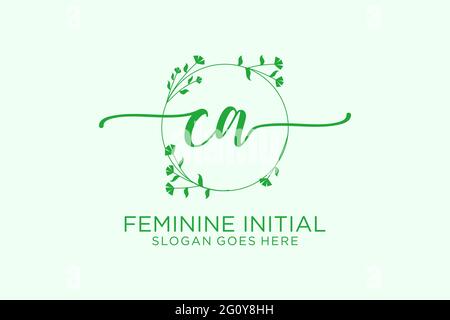 CA Beauty Monogramm und elegantes Logo Design Handschrift Logo der ersten Signatur, Hochzeit, Mode, Blumen und botanische mit kreativen Vorlage. Stock Vektor