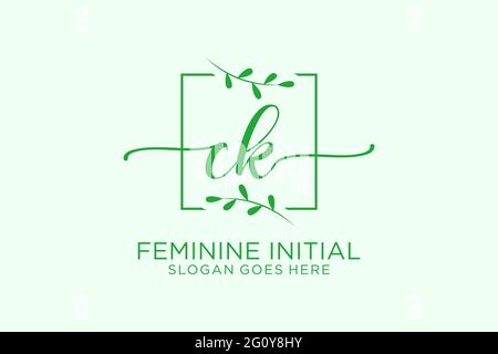CK Beauty Monogramm und elegantes Logo Design Handschrift Logo der ersten Unterschrift, Hochzeit, Mode, Blumen und botanische mit kreativen Vorlage. Stock Vektor