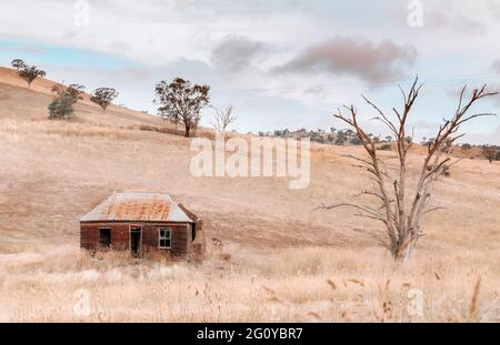 Veraltete alte Hausruine aus rustikalem Holz und Wellblech und gebrochenem Ziegelkamin, auf dem Ackerland des ländlichen Outback Australiens. Konzentrieren Sie sich auf das Alte Stockfoto