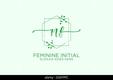 NF Beauty Monogramm und elegantes Logo Design Handschrift Logo der ersten Signatur, Hochzeit, Mode, Blumen und botanische mit kreativen Vorlage. Stock Vektor