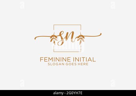 SN Beauty Monogramm und elegantes Logo Design Handschrift Logo der ersten Unterschrift, Hochzeit, Mode, Blumen und botanische mit kreativen Vorlage. Stock Vektor