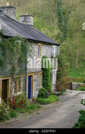 Ravensdale Cottages, Cressbrook, Peak District, Derbyshire; ursprünglich für Arbeiter der nahe gelegenen Cressbrook Mill gebaut Stockfoto