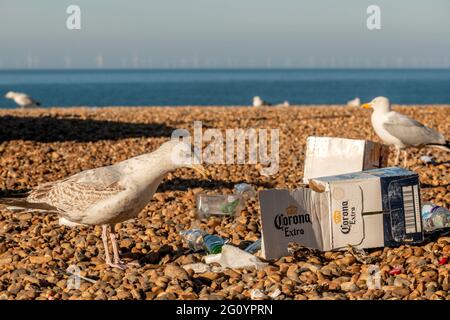 Brighton, 1. Juni 2021: Abfall am Strand von Brighton zurückgelassen am Morgen, nachdem Tagesausflügler zu Tausenden für den wunderschönen Bank Holiday Mon kamen Stockfoto