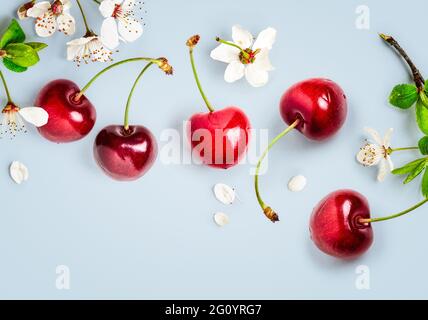 Kirschfrüchte und frühlingshafte weiße Kirschblüten kreatives Layout. Frühlingskomposition auf blauem Hintergrund und farbiger Grußkarte. Flach liegend, Draufsicht, Stockfoto