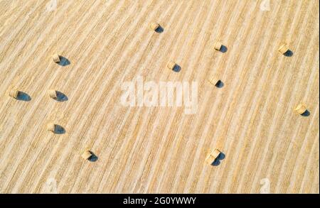Heuballen im landwirtschaftlichen Bereich, natürliches Muster. Luftpanoram direkt darüber Stockfoto