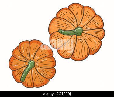 Vektor der oberen Ansicht von Kürbis. Zupfen saisonales Herbstgemüse. Orangefarbene Kürbisse. Erntedankfest-Symbol. Handzeichnung, Herbsternte. Stock Vektor