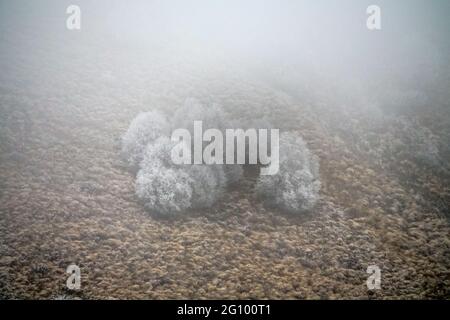 Erdbeobachtung, Zeit vor dem Winter. Der Winter ist von den Bergen zu den Ausläufern herabgestiegen. Frost überzogen Bäume, Sträucher und Gräser, gefrorene Gewässer Stockfoto