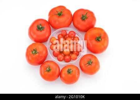 Nahaufnahme von oben mit roten Kirschtomaten in einer Schüssel, umgeben von großen Tomaten auf weißem Hintergrund angeordnet. Stockfoto