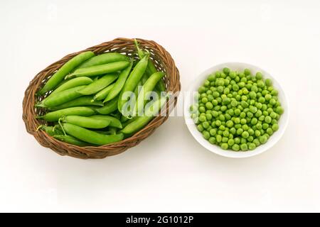 Nahaufnahme von oben mit frischen grünen Erbsen, Pisum Sativum, Hülsen und Samen, die in einem Korb mit Rohrschale und einem isolierten Behälter vor weißem Hintergrund dargestellt sind. Stockfoto