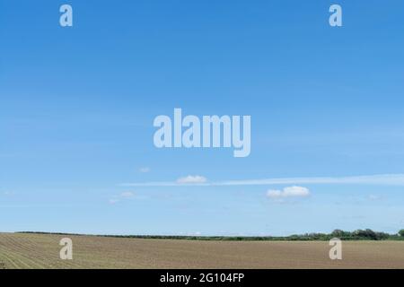 Blauer, blauer Sommerhimmel mit spärlichen, flauschigen Wolken am Horizont eines bebauten Ackerfeldes in Großbritannien. Für Landwirtschaft und Landwirtschaft in Großbritannien, Lebensmittelproduktion in Großbritannien. Stockfoto