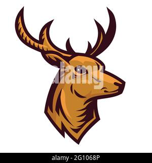 Kopf des Hirsches. Jagdtrophäe im Cartoon-Stil. Stock Vektor