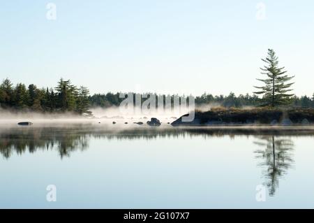 Morgenreflexionen auf dem Three River Lake, Tobeatic Wilderness Area, Nova Scotia, Kanada Stockfoto